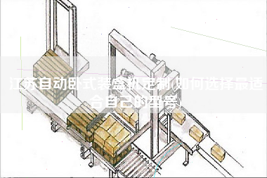 江苏自动卧式装盒机定制(如何选择z适合自己的型号)