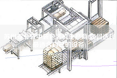 苏州专业袋中袋包装机生产商(如何选择z适合自己的设备)