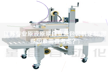 江苏专业原液原浆自立袋包装机定制(哪些因素需要考虑？)