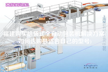 福建X给袋式全自动包装机解决方案(如何选购z适合自己的型号)